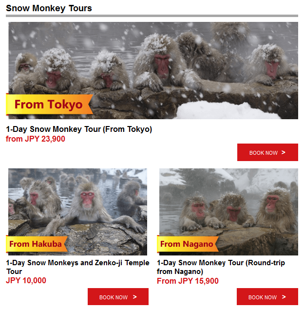 japan snow monkey tours - tokyo, nagano, hakuba