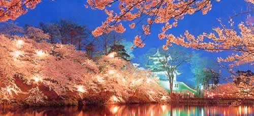 Myoko Festivals - Takada Cherry Blossom Festival and Castle at Night
