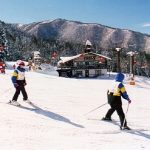 Myoko-Nagano Ski Pass