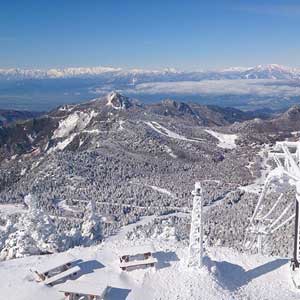 Nagano Snow and weather Report in Shiga Kogen