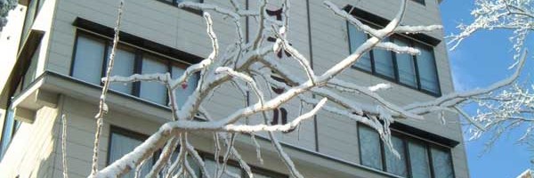 Akakura Wakui Hotel, Myoko Kogen